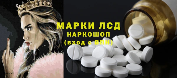 мяу мяу мука Аркадак