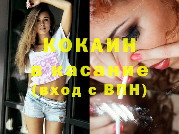 мяу мяу мука Аркадак