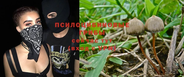 мяу мяу мука Аркадак