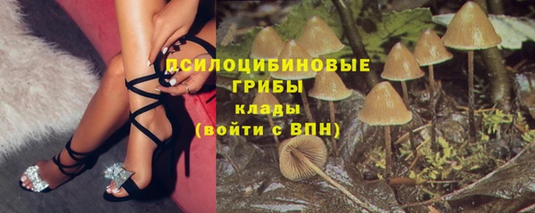 мяу мяу мука Аркадак