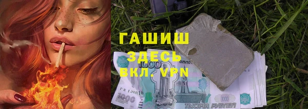PSILOCYBIN Армянск