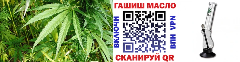 ТГК концентрат  гидра как войти  Слободской  как найти  