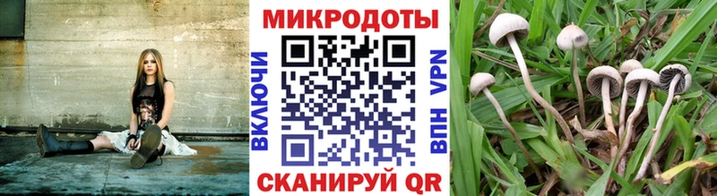 Галлюциногенные грибы прущие грибы  blacksprut ссылка  Слободской  как найти наркотики 